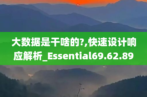 大数据是干啥的?,快速设计响应解析_Essential69.62.89