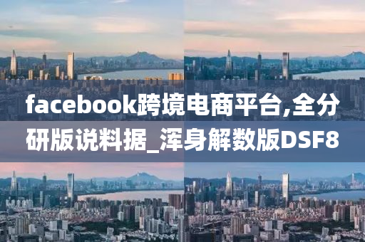 facebook跨境电商平台,全分研版说料据_浑身解数版DSF8