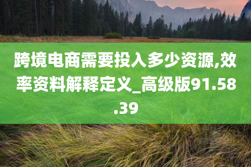 跨境电商需要投入多少资源,效率资料解释定义_高级版91.58.39