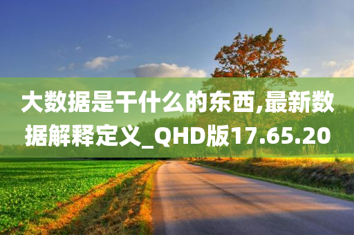 大数据是干什么的东西,最新数据解释定义_QHD版17.65.20