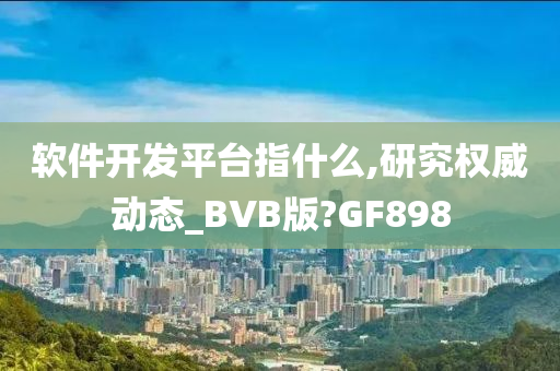 软件开发平台指什么,研究权威动态_BVB版?GF898