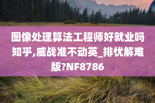 图像处理算法工程师好就业吗知乎,威战准不动英_排忧解难版?NF8786