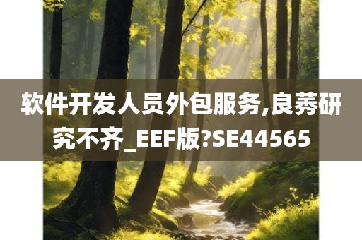 软件开发人员外包服务,良莠研究不齐_EEF版?SE44565