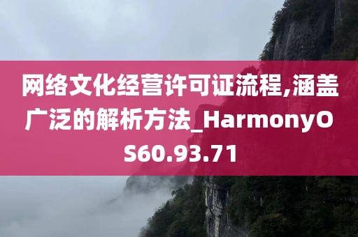 网络文化经营许可证流程,涵盖广泛的解析方法_HarmonyOS60.93.71