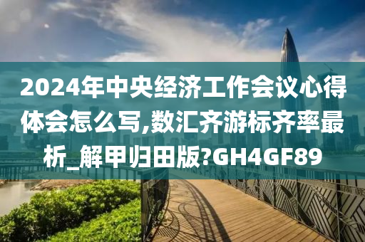 2024年中央经济工作会议心得体会怎么写,数汇齐游标齐率最析_解甲归田版?GH4GF89