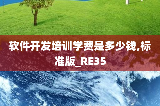 软件开发培训学费是多少钱,标准版_RE35