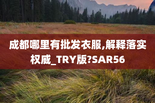 成都哪里有批发衣服,解释落实权威_TRY版?SAR56