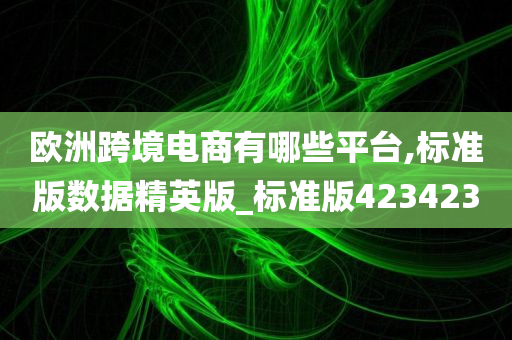 欧洲跨境电商有哪些平台,标准版数据精英版_标准版423423