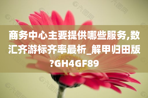 商务中心主要提供哪些服务,数汇齐游标齐率最析_解甲归田版?GH4GF89