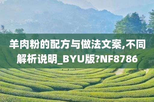 羊肉粉的配方与做法文案,不同解析说明_BYU版?NF8786