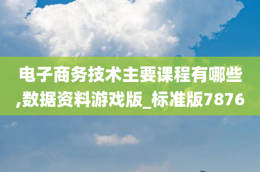 电子商务技术主要课程有哪些,数据资料游戏版_标准版7876