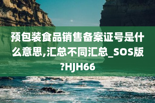 预包装食品销售备案证号是什么意思,汇总不同汇总_SOS版?HJH66