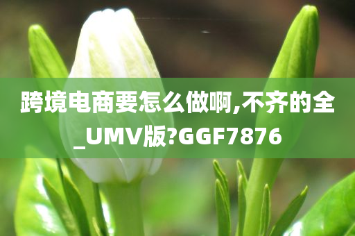 跨境电商要怎么做啊,不齐的全_UMV版?GGF7876