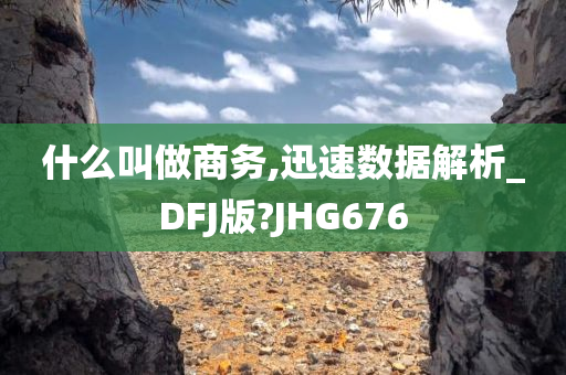 什么叫做商务,迅速数据解析_DFJ版?JHG676