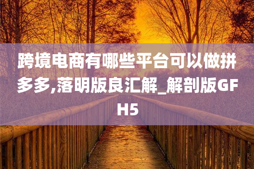 跨境电商有哪些平台可以做拼多多,落明版良汇解_解剖版GFH5