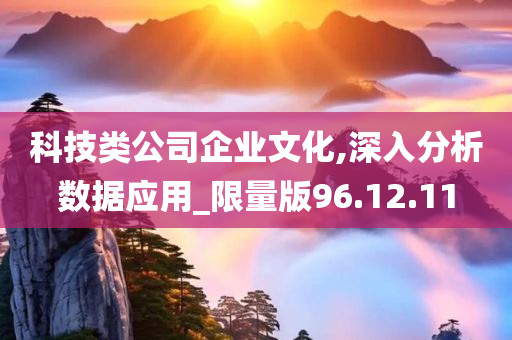 科技类公司企业文化,深入分析数据应用_限量版96.12.11