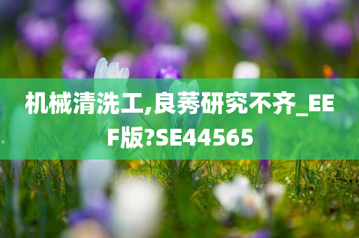 机械清洗工,良莠研究不齐_EEF版?SE44565