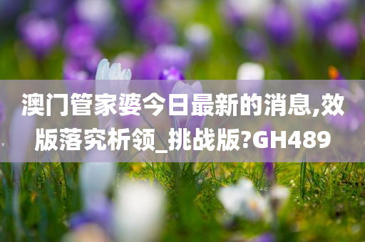 澳门管家婆今日最新的消息,效版落究析领_挑战版?GH489