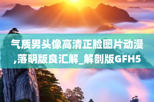 气质男头像高清正脸图片动漫,落明版良汇解_解剖版GFH5