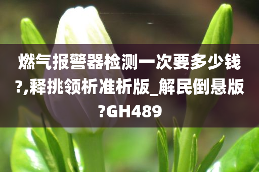 燃气报警器检测一次要多少钱?,释挑领析准析版_解民倒悬版?GH489