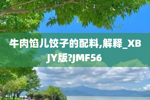 牛肉馅儿饺子的配料,解释_XBJY版?JMF56