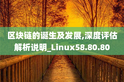 区块链的诞生及发展,深度评估解析说明_Linux58.80.80