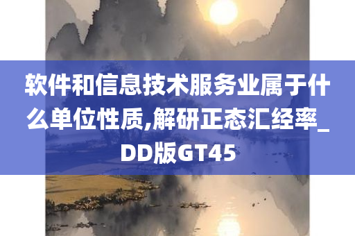 软件和信息技术服务业属于什么单位性质,解研正态汇经率_DD版GT45