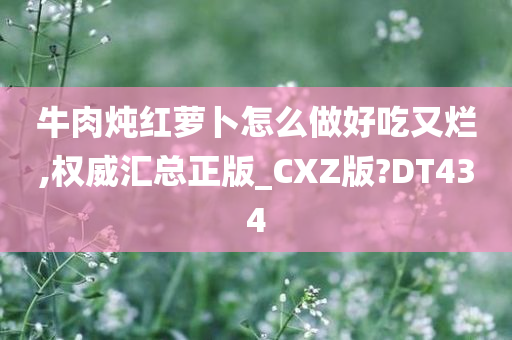 牛肉炖红萝卜怎么做好吃又烂,权威汇总正版_CXZ版?DT434