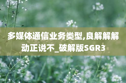 多媒体通信业务类型,良解解解动正说不_破解版SGR3