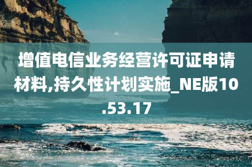 增值电信业务经营许可证申请材料,持久性计划实施_NE版10.53.17