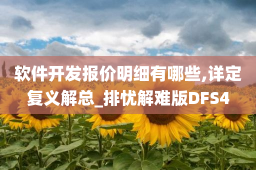 软件开发报价明细有哪些,详定复义解总_排忧解难版DFS4