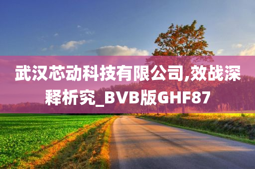 武汉芯动科技有限公司,效战深释析究_BVB版GHF87