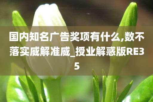 国内知名广告奖项有什么,数不落实威解准威_授业解惑版RE35