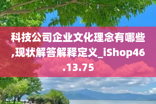 科技公司企业文化理念有哪些,现状解答解释定义_iShop46.13.75