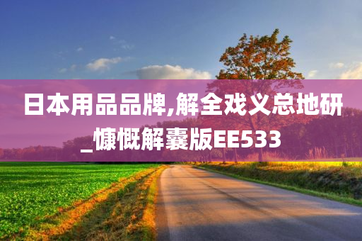 日本用品品牌,解全戏义总地研_慷慨解囊版EE533