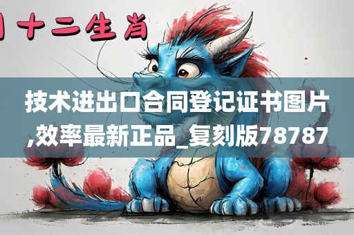 技术进出口合同登记证书