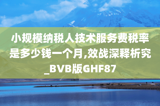 小规模纳税人技术服务费税率是多少钱一个月,效战深释析究_BVB版GHF87