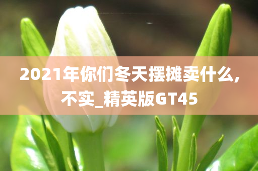 2021年你们冬天摆摊卖什么,不实_精英版GT45