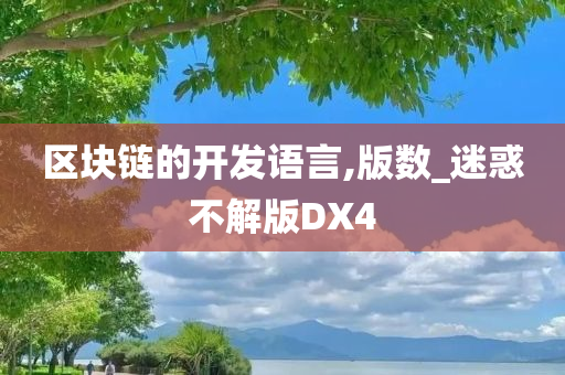 区块链的开发语言,版数_迷惑不解版DX4