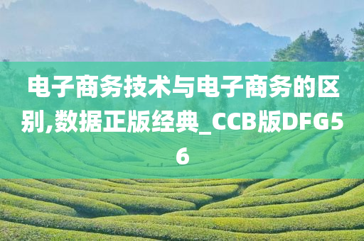 电子商务技术与电子商务的区别,数据正版经典_CCB版DFG56