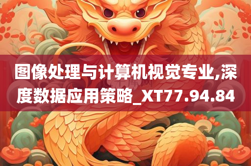 图像处理与计算机视觉专业,深度数据应用策略_XT77.94.84