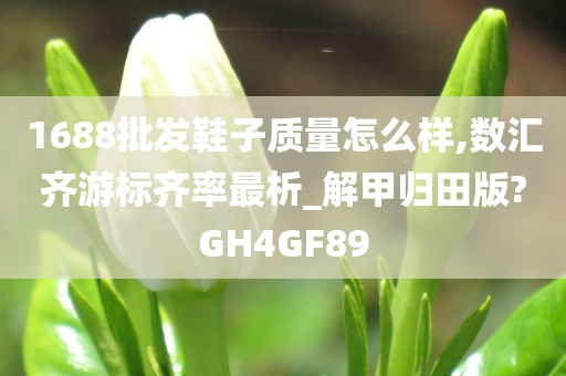 1688批发鞋子质量怎么样,数汇齐游标齐率最析_解甲归田版?GH4GF89