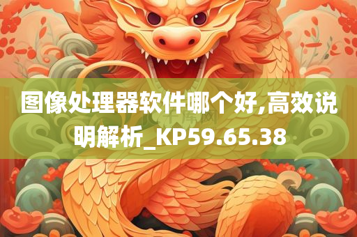 图像处理器软件哪个好,高效说明解析_KP59.65.38