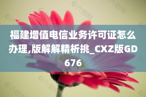 福建增值电信业务许可证怎么办理,版解解精析挑_CXZ版GD676