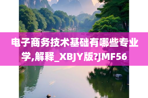 电子商务技术基础有哪些专业学,解释_XBJY版?JMF56