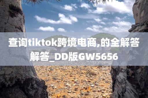 查询tiktok跨境电商,的全解答解答_DD版GW5656