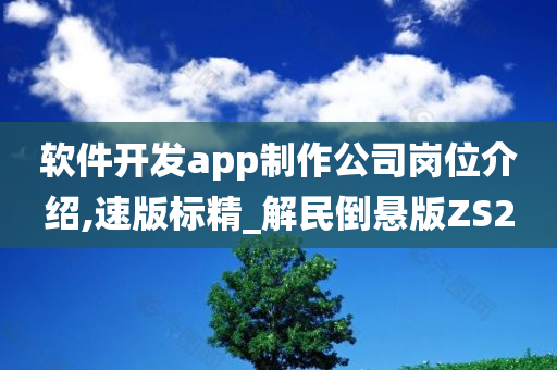 软件开发app制作公司岗位介绍,速版标精_解民倒悬版ZS2