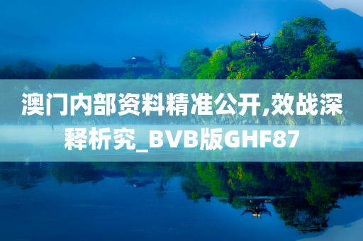 澳门内部资料精准公开,效战深释析究_BVB版GHF87