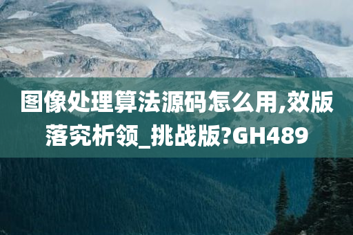 图像处理算法源码怎么用,效版落究析领_挑战版?GH489