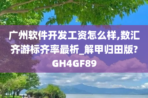 广州软件开发工资怎么样,数汇齐游标齐率最析_解甲归田版?GH4GF89